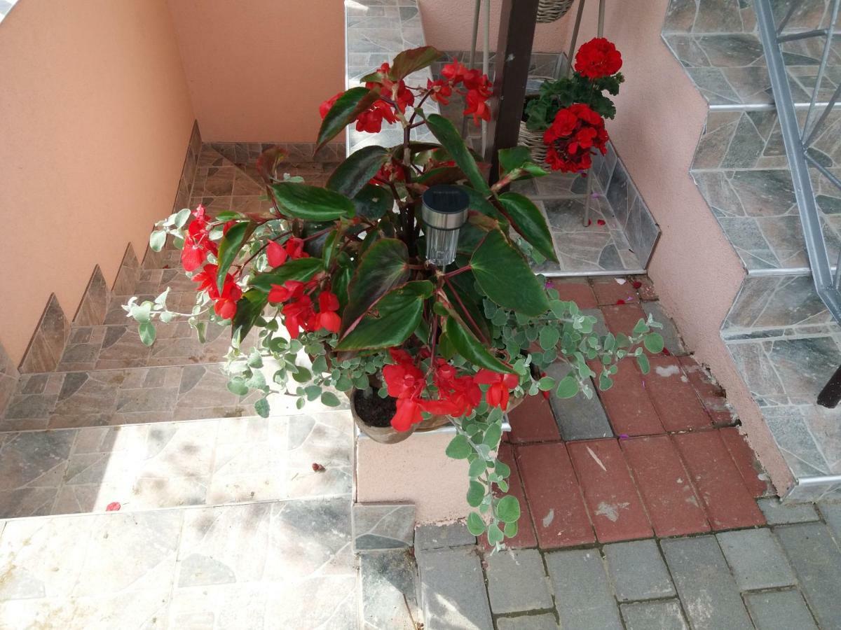 מלון טוקאי Beata Vendeghaz מראה חיצוני תמונה